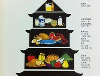 《中国居民膳食指南（2016）》读后感100字