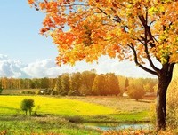 最经典的《angelige》佳句摘抄大全