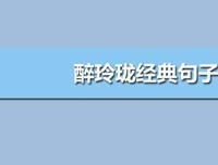 关于醉玲珑的句子