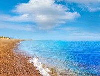 《暖心向阳》的句子