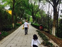 最全的《爸爸妈妈》经典语录大全