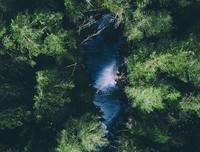 人生如梦梦初醒的句子