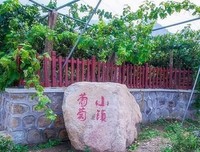 沧海横流名句欣赏