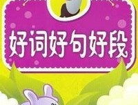挚爱之爱好词好句