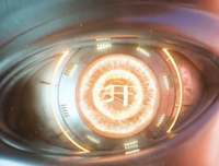 《对此承诺》观后感100字