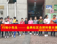 《快樂的小雞》经典观后感1000字