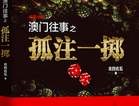 澳门往事之孤注一掷读后感100字