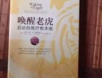 唤醒老虎：启动自我疗愈本能经典读后感有感