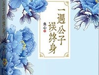《一生一遇》的读后感大全