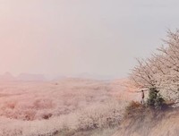 浮生六十载，十年一舍得
