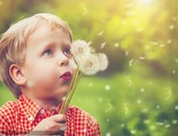 《逆风ㄨ蒲公英》的句子