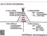《印度：受伤的文明》的读后感大全