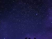 《我们的世界彼此相爱》经典读后感有感