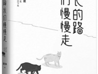 时间暂停等到你的读后感大全