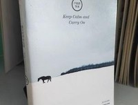 谁不曾浑身是伤，谁不曾彷徨迷惘的读后感大全