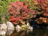 《秋天的花园》经典影评1000字