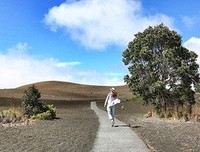在安静中盛享人生的清凉读后感1000字