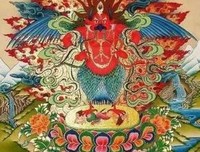 一只特立独行的鸟儿