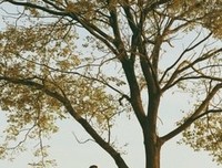 关于只差一个结局 却要从头开始的句子