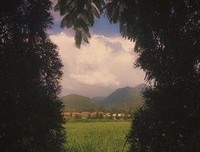 最新的《禅定荒野》经典的句子