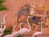 《少年派的奇幻漂流》经典影评1000字