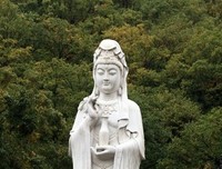 观音菩萨的故事读后感1000字