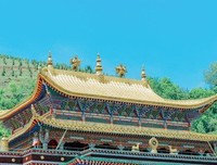 《一生一世，黑白影画》读后感1000字