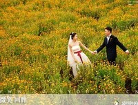 深深的爱，浅浅的说读后感100字