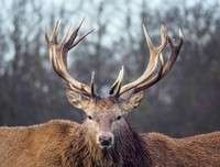 《无痕》的句子