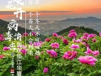 《再美的现实也会有不堪入目的地方》的句子