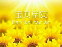 小小的坚强的优美句子