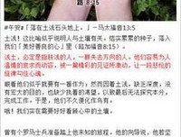 最新的《马太福音》经典语句大全