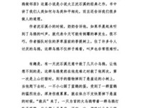 乌鸦之城的读后感大全