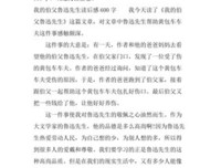 《鲁迅形影》读后感100字