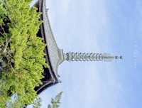 《盛夏光年》影评精选