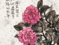 高人指路！（一句顶一万句）