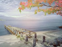 《你和我的倾城时光》名句欣赏