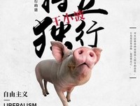 《一只特立独行的猪》读后感100字
