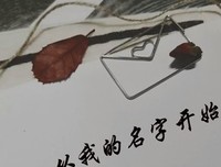 《我的名字叫帕瓦娜》读后感锦集