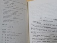 上帝之灯读后感100字