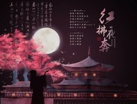 红拂夜奔（精装珍藏版）经典读后感有感