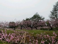 关于光、黑暗的伤的优美句子