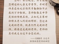 《情意拳拳》经典观后感有感