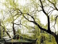 关于世态炎凉的名言