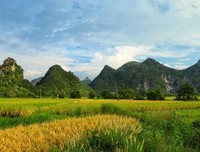 描写姹紫嫣红的经典句子