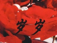 岁岁年年有光读后感精选