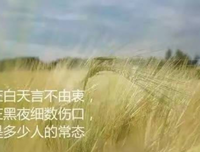 大风刮过 经典句子