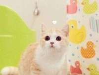 2021特里·伊格尔顿名人名言