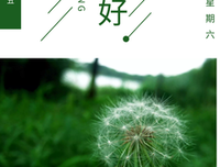描写枝繁叶茂的经典句子