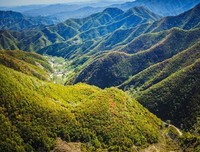 《荒野寒山》读后感摘抄